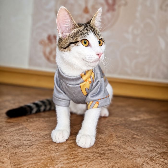 Сладенькая малышка Мия