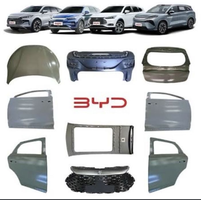 Byd chazor zapcast