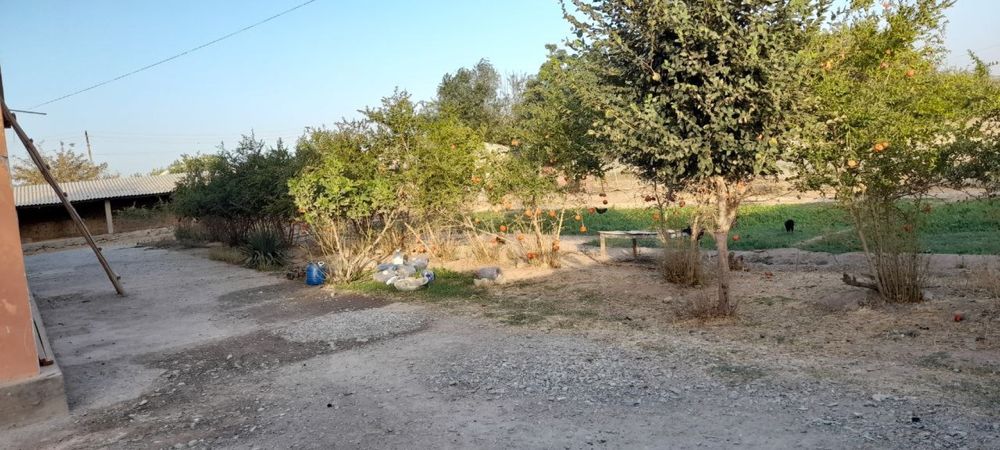 Hovli sotiladi 12 sotx