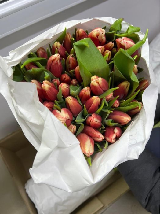 Белоруские тюльпаны крупные