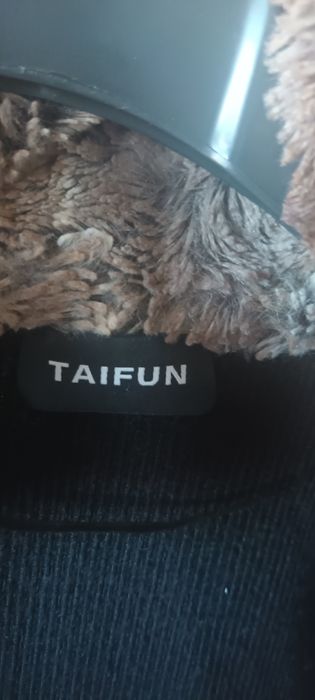 Vesta superba taifun