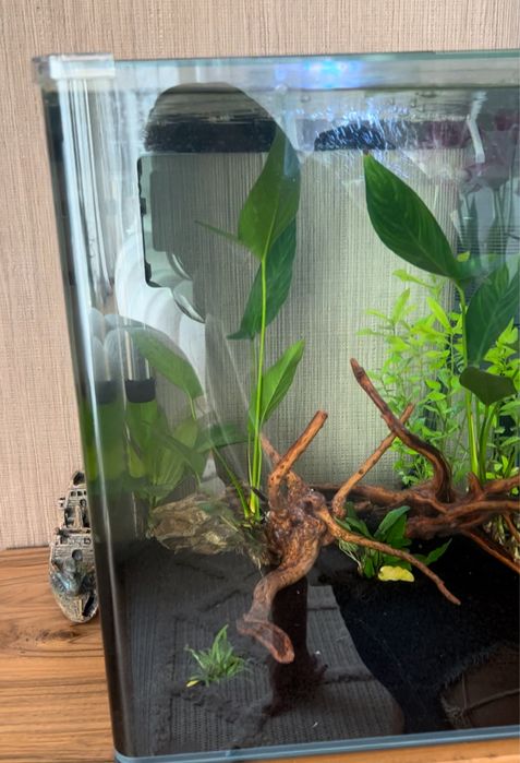 Продавам за аквариум за рибки