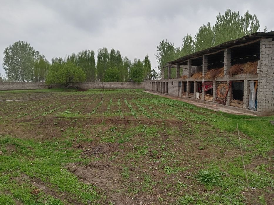 Srochni 24 sotux 2 xonali xamma sharoyitlar bor xovli sotlad