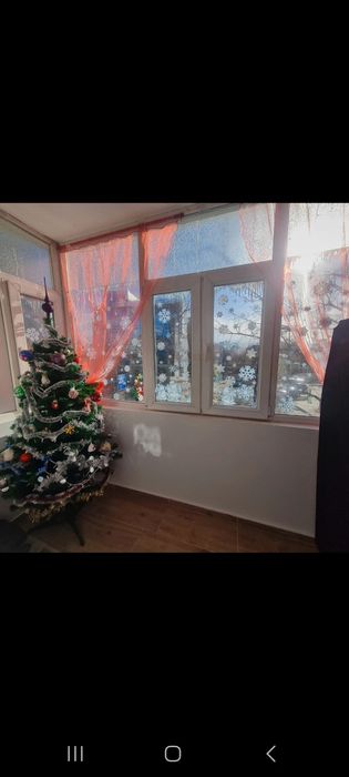 Vând brad Crăciun arată impecabil