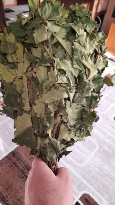 Веник банный березовый.