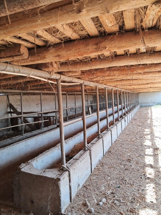 Мол ферма сотилади