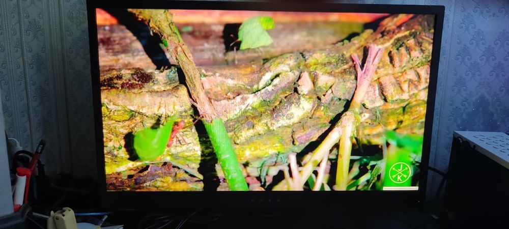 Монитор hp omen 25 144hz.