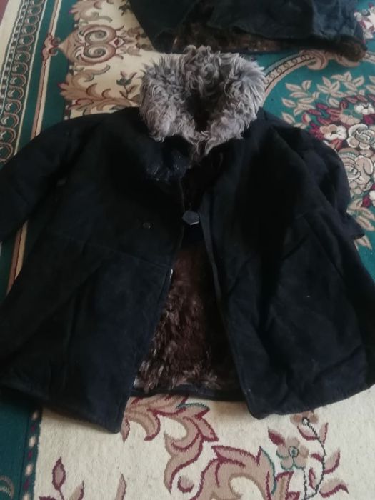 Тұлып сатылады.Бағасы 30 мың