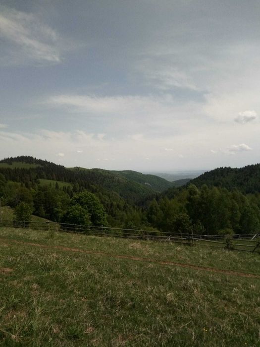 Vand teren in Muntele Bocului
