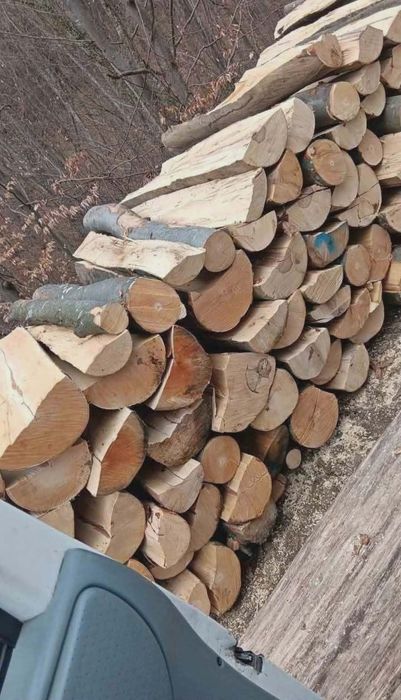 Vand lemne de foc esența tare carpen și fag