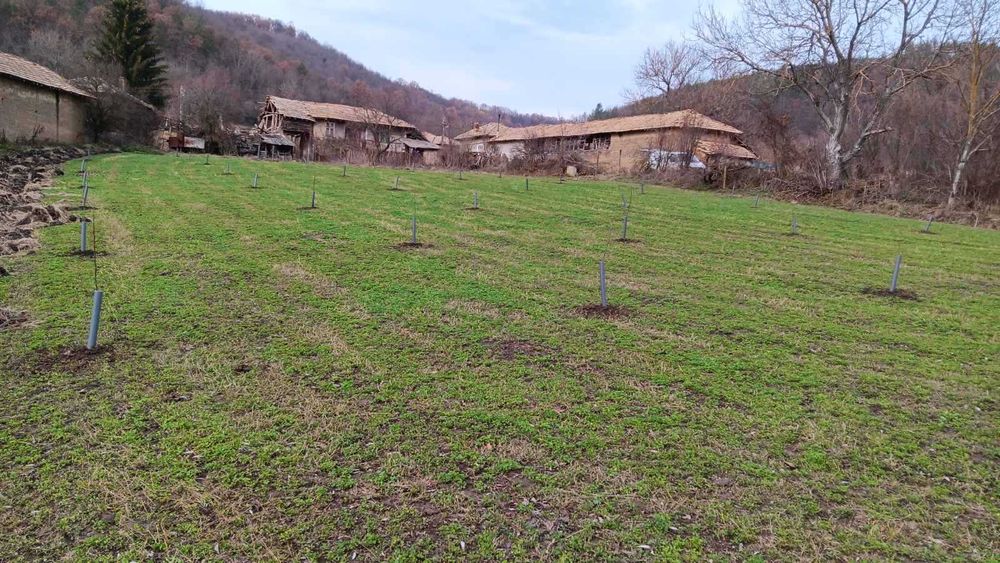 Продава се Къща в с. Марчино, Област Търговище - 50 кв.м за 300 €/кв.м - Снимка #5