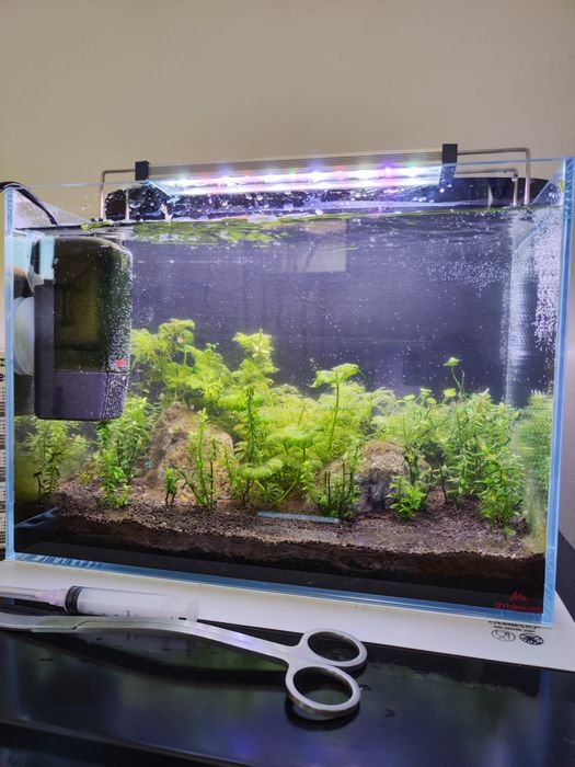 Acvariu Strideways sado 36p