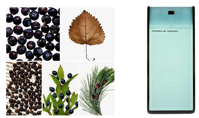 Porsche Design The Essence