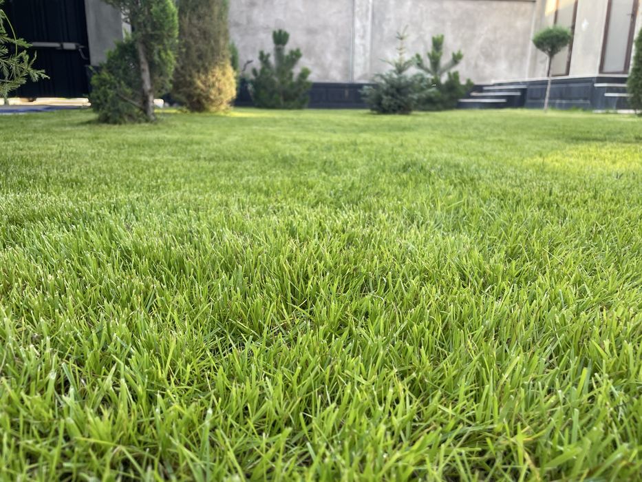 Газон,автополив,ланшафт