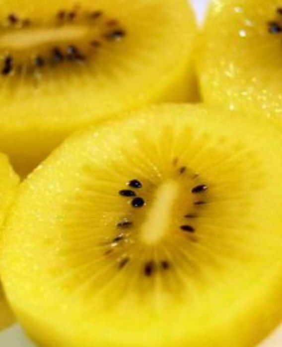 Едро Златно киви Сорели - Голд киви(Gold kiwi - Soreli)