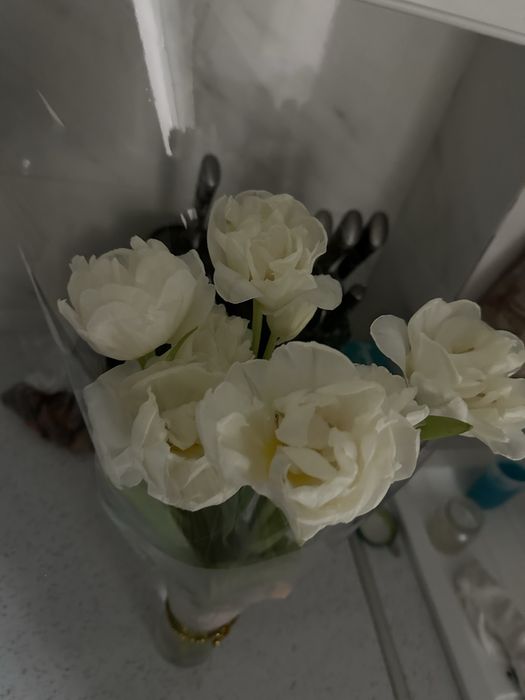 Цветы тюльпаны бу