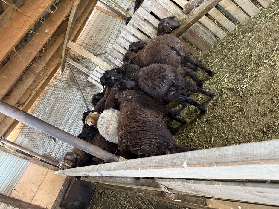 Срочно продается