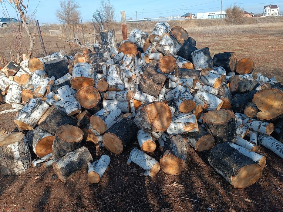 Продам  дрова береза