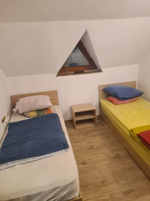 Легло в стая в Ямбол