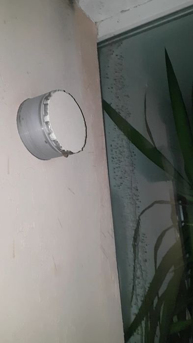 Gaura hota Resita și pe saletele din jur, Făget, Lugoj, Timișoara.