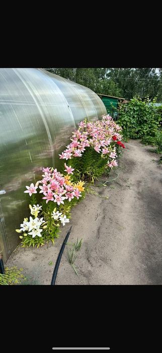 Продам дом , дача.