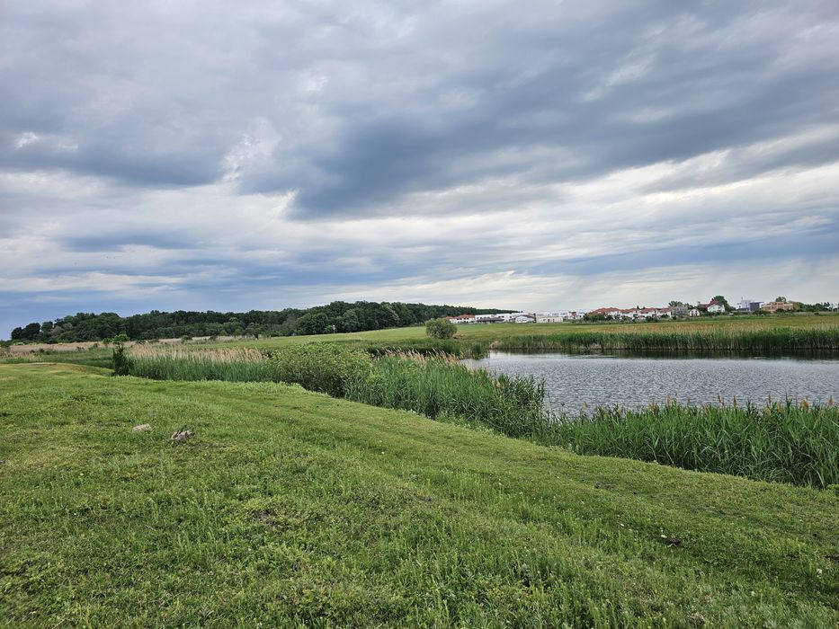 Vând teren amplasat   pe  malul lacului   Mogoșoaia