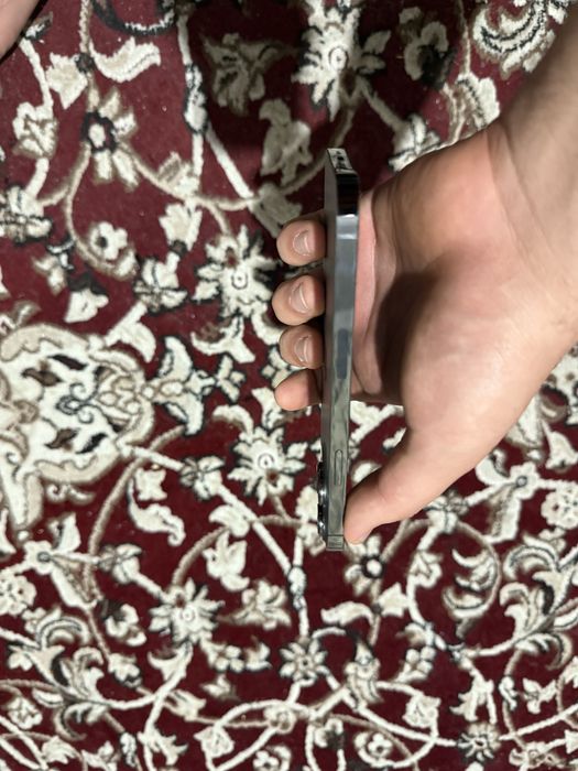 iphone 13 pro max 256 gb