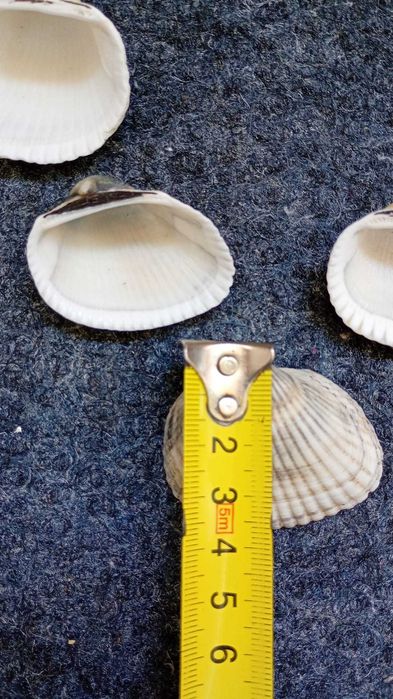 Декорация за аквариум