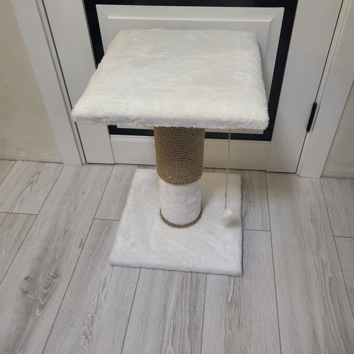 Когтеточка для кошек