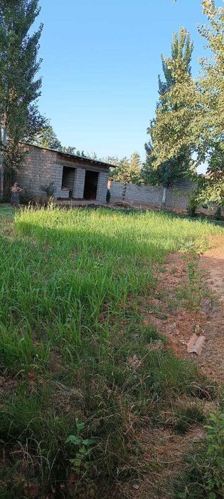 Кашкадаре вилоятида ер сотилади