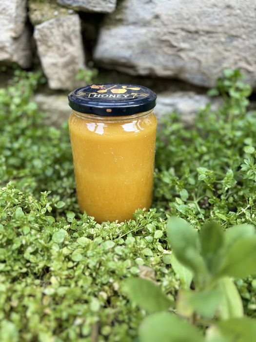 Натурален домашен пчелен и манов мед – директно от пчелар