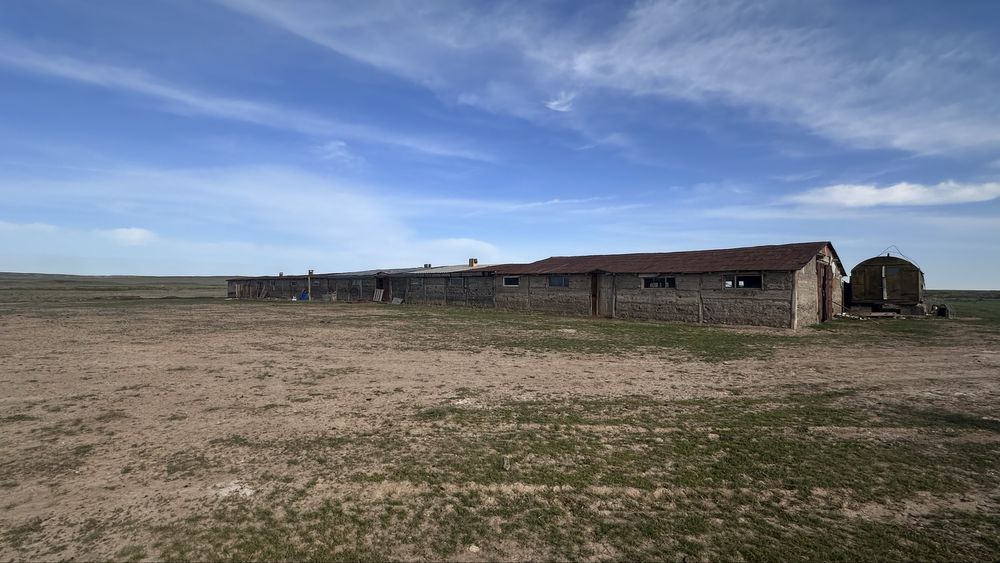 Ауыл шаруашылығы сатылады