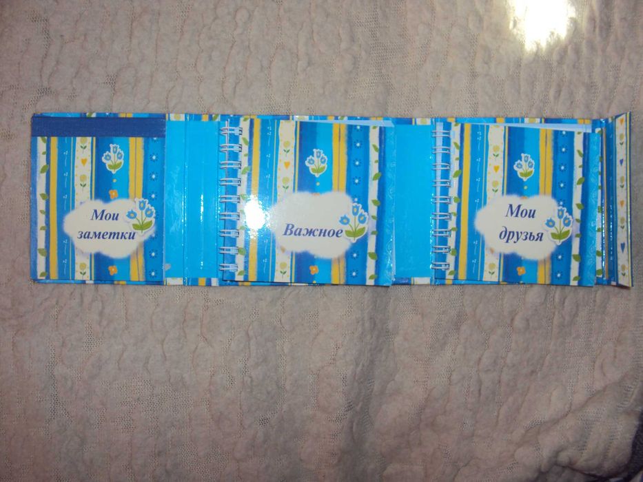 Мини-дневничок для девочки.