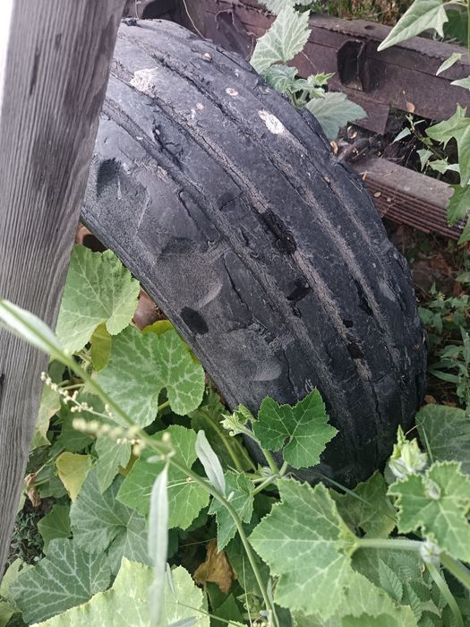 Колесо от прицепа