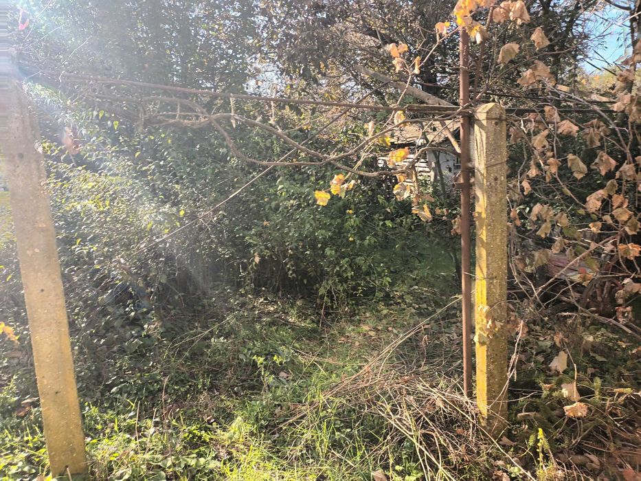 КЪЩА с  Баня Т.  +Двор и Други  СГРАДИ в Алфатар НИСКА Цена !