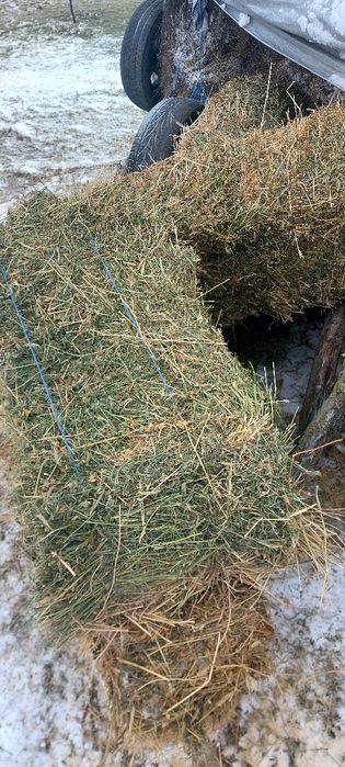 Baloti lucernă și baloti otava