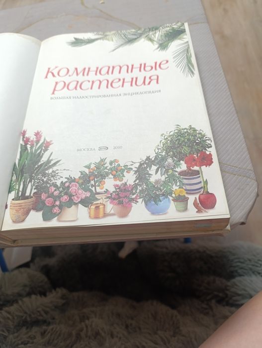 Книга о комнатных растениях