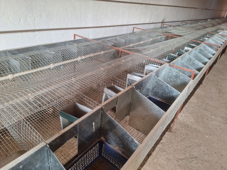 Quyon qafas komplekt kormushka bolaxona bilan suv linyasi