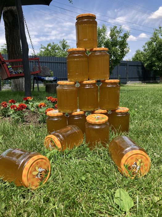 Miere de albine si polen proaspat de primavara din stupina proprie