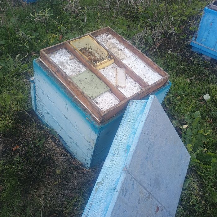 Пчелни кошери за пчели Дадан блат