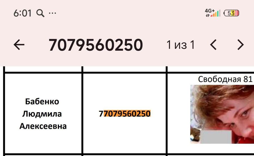 Кошки и собаки внимание