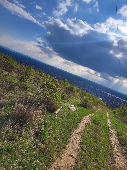 Teren 3600 mp  Valea Domneasca, Ghioroc