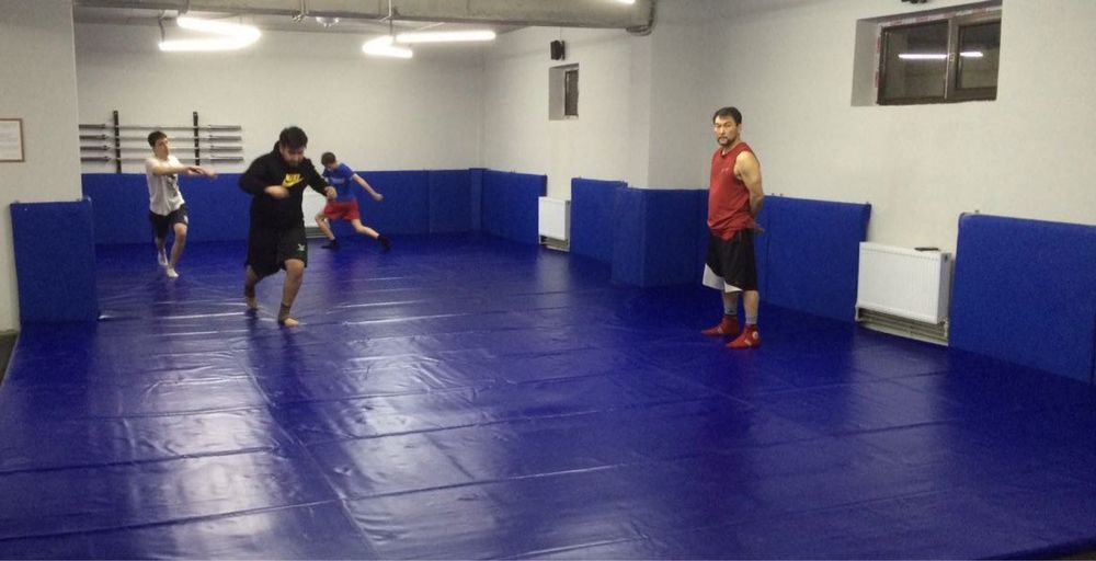 Борцовский ковер без маты одноцветный