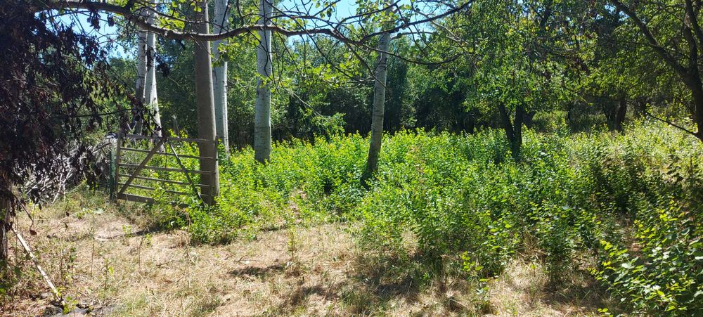 Продава се Парцел в Перник, Църква - 1440 кв.м за 46 €/кв.м - Снимка #13