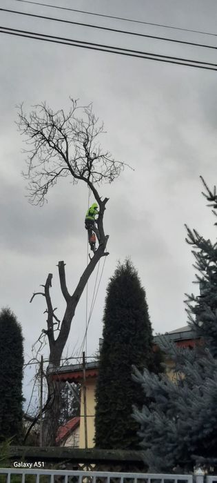 Alpinist utilitar izolatii exterioare cu polistiren