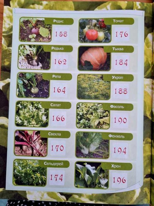 Gradina In RUSA full color Enciclopedia Plantelor Gradinarului 350 pag