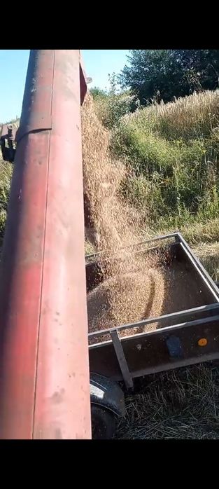 Vând Combaină Massey Ferguson