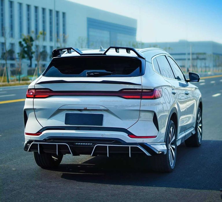 BYD Champion 24-25 2 спойлера