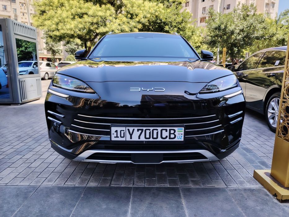 BYD CHENPION 110 gbrit