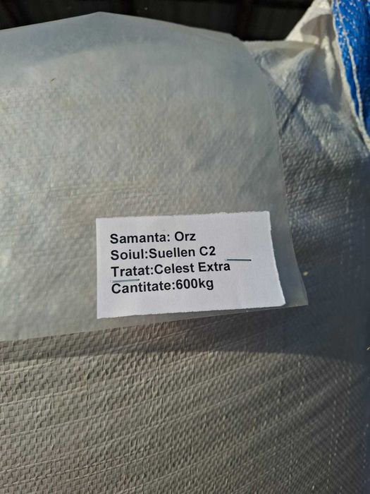 Samanta orz Su Ellen